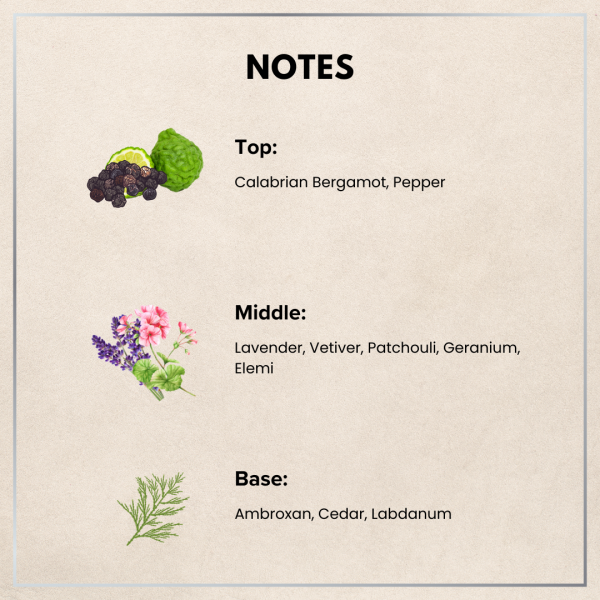 Vento Fragrance Oil - Unisex - Image 4